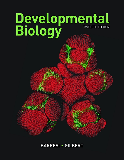 Developmental Biology – Lance Jones